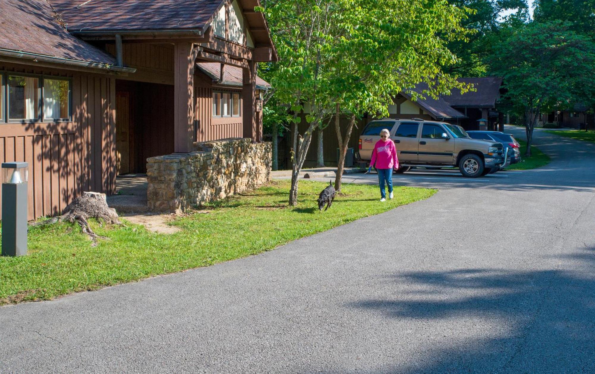 Cumberland Falls State Resort Park Honeybee ภายนอก รูปภาพ